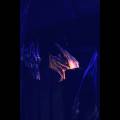 the-nights-of-horror_04.jpg