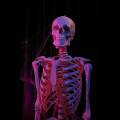 the-nights-of-horror_15.jpg
